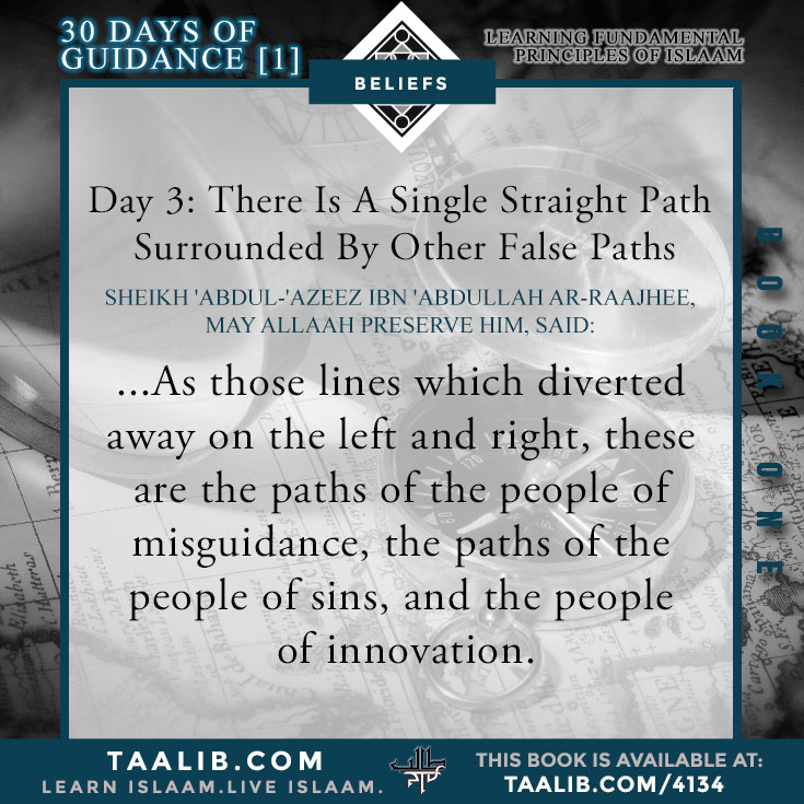Day 03: There Is A Single Straight Path Surrounded By Other False Paths